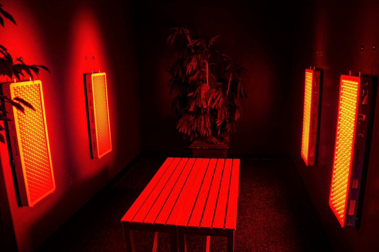 Red Light Therapy Room